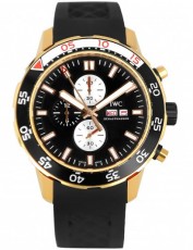 Iwc 2171879 Portuguese (Фото 1)